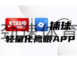 微信截图_20240701090219