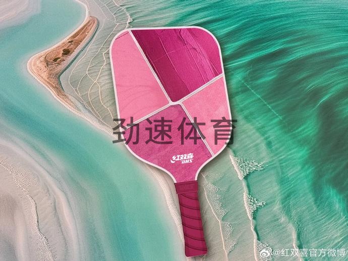 红双喜匹克球拍